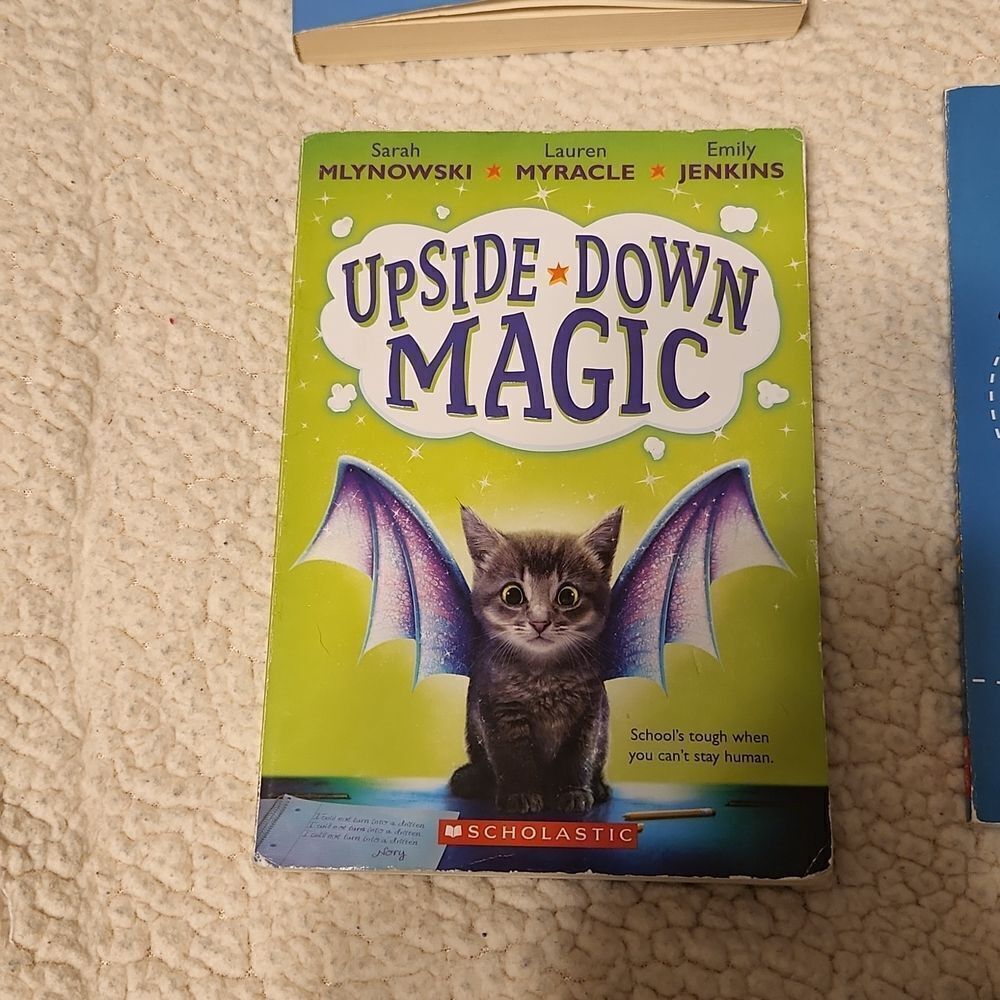 Chapter Books  - Picture 4 of 9